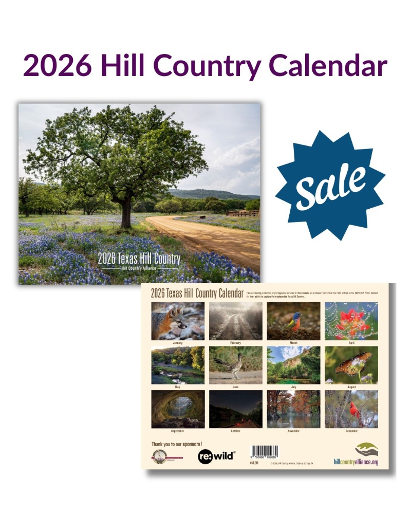2026 Calendar (50% off)